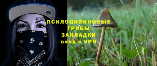 ALPHA PVP Алексин