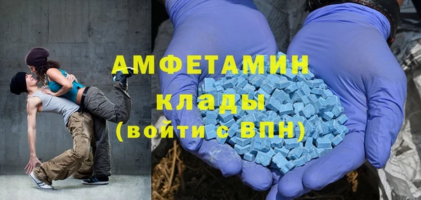 молекула духа Алексеевка