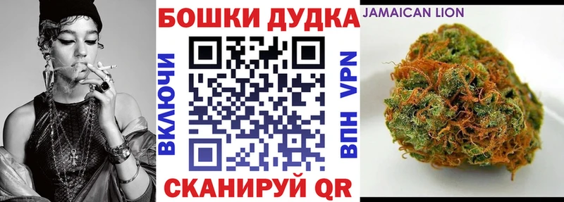 Канабис SATIVA & INDICA Бабушкин